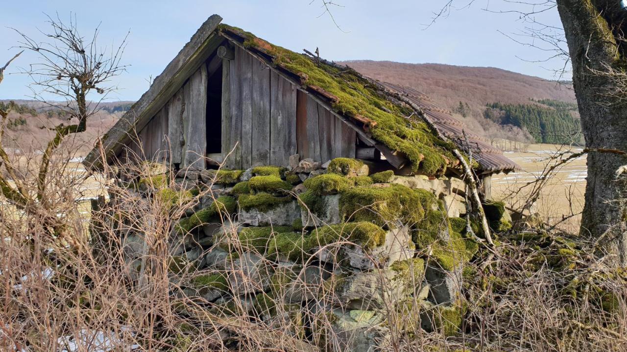 Kaline 2 Lägenhet Wildflecken Exteriör bild